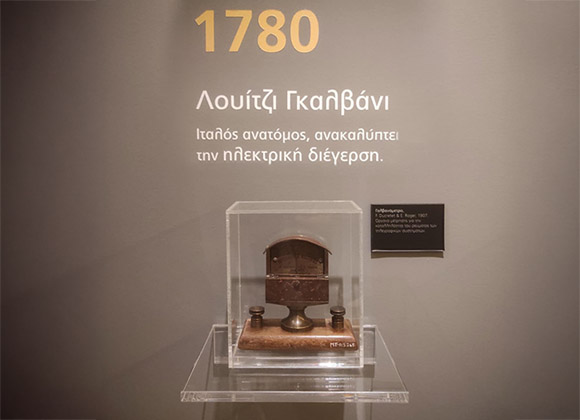 On the trail of the Museum’s collections