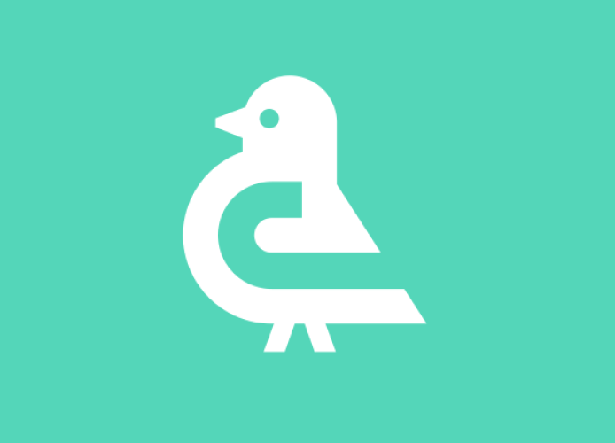 Συνάντηση με ένα περιστέρι